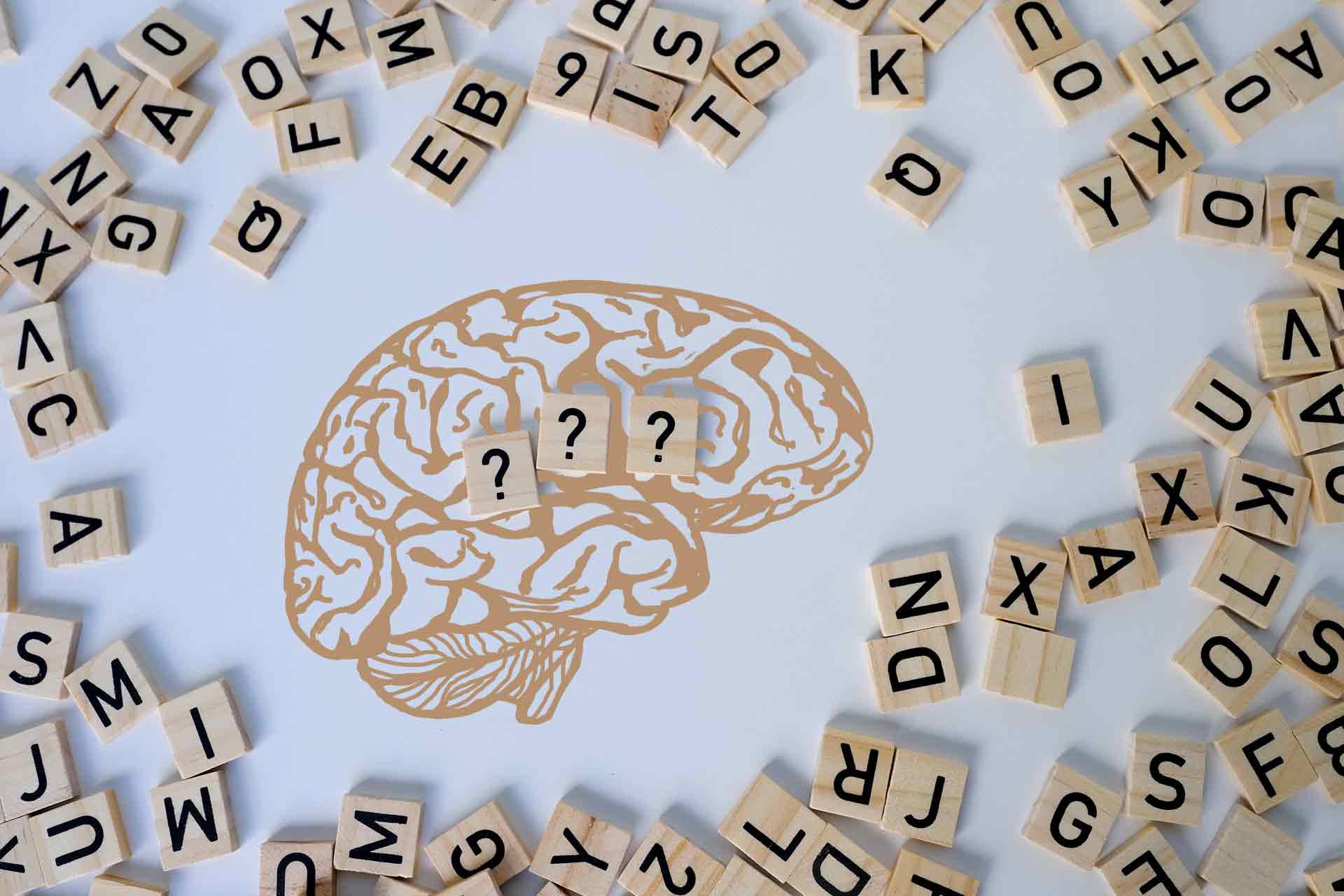Senior Brain Games For Money