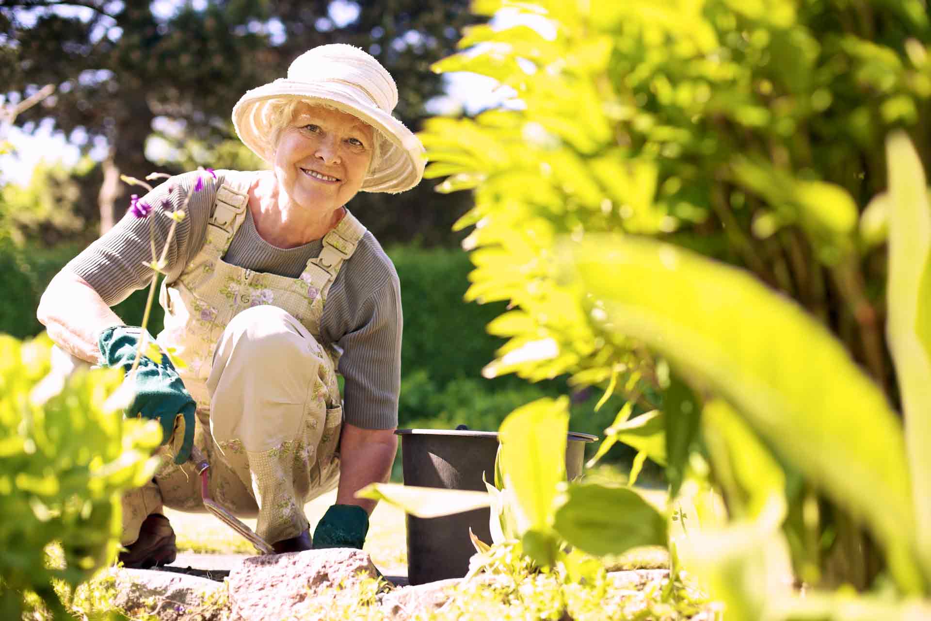 Senior Gardening Money